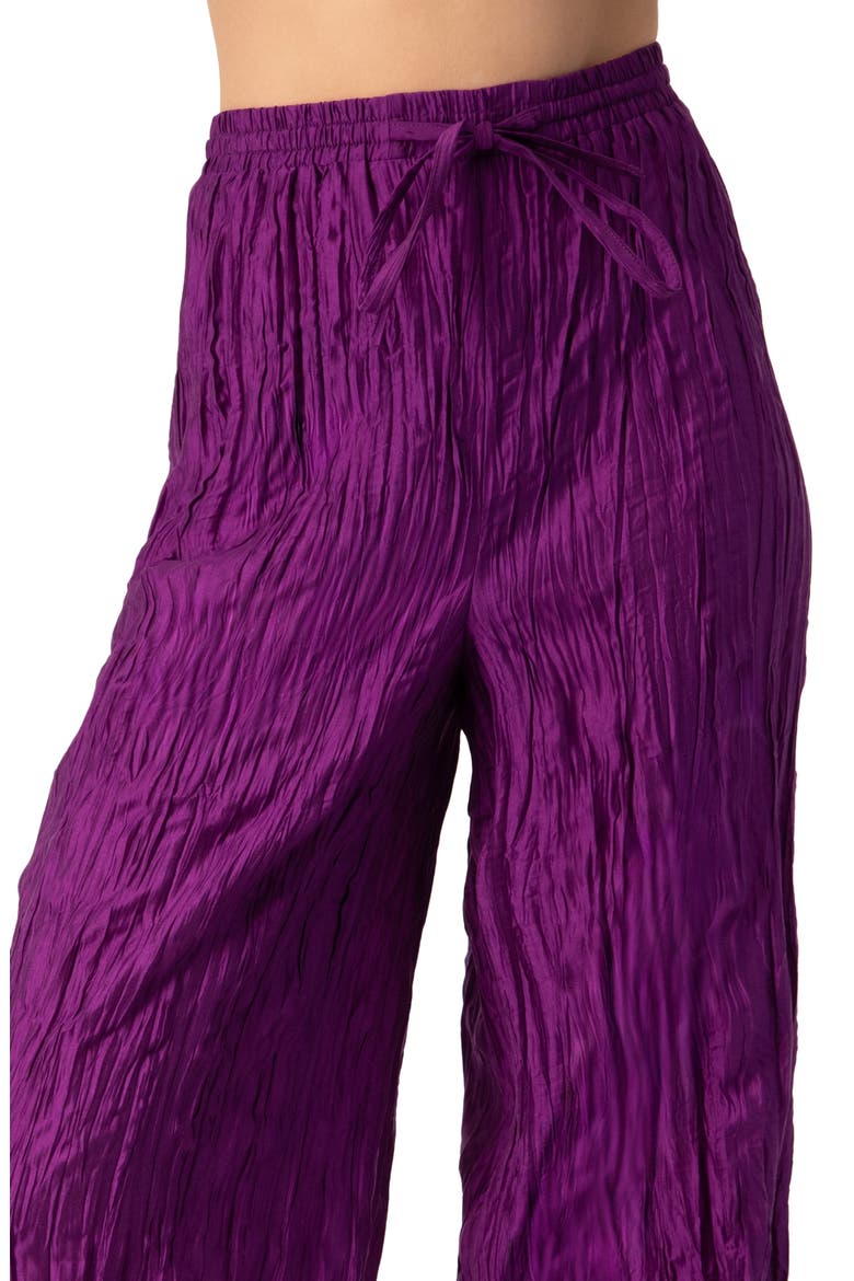 Pleated Pants with Ankle Ties, Alternate, color, Purple