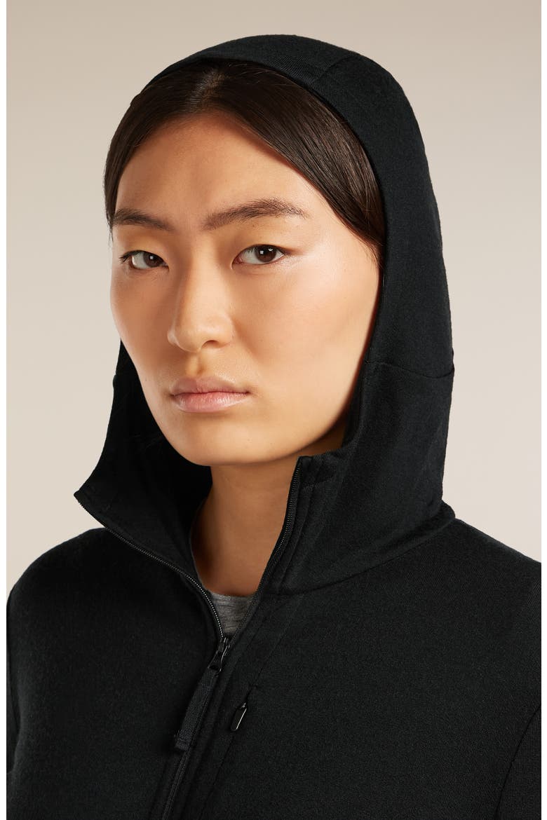 260 Quantum Merino Wool Hooded Jacket, Alternate, color, BLACK