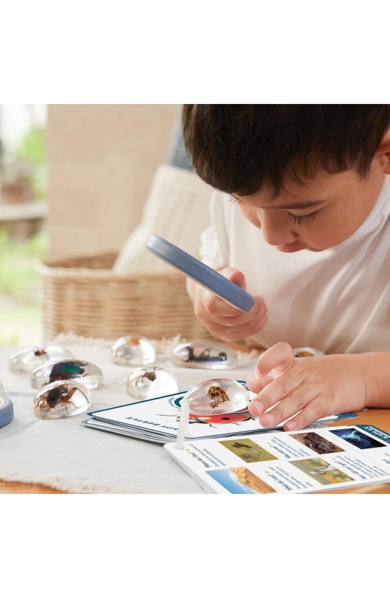 Kaplan Early Learning Company Specimen Stones Bugs - 9 Pieces, Alternate, color, Clear