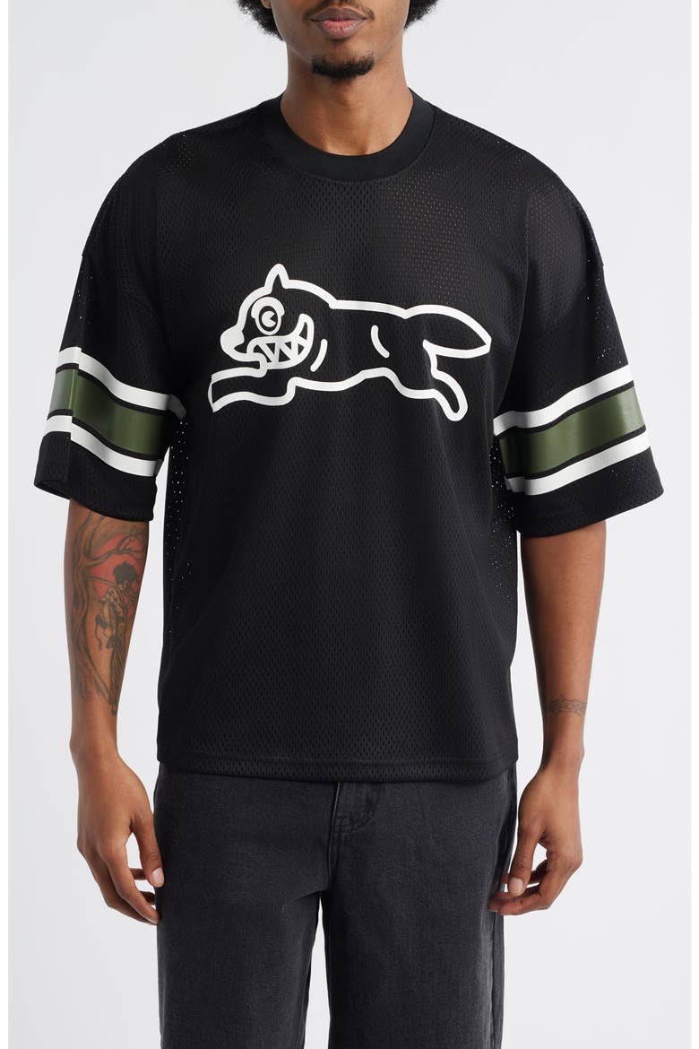 Hike Oversize Running Dog Mesh Graphic T-Shirt, Main, color, BLACK