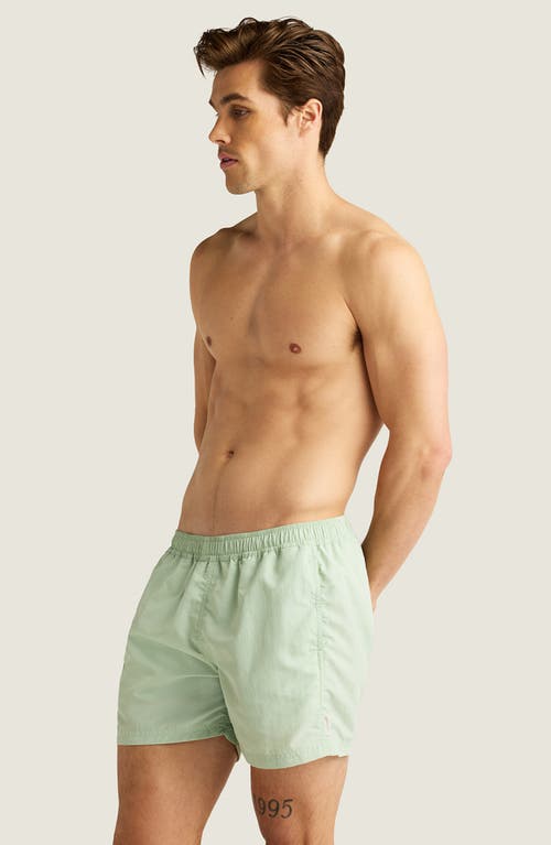 Auto-reply™ Sebastian Solid 4-inch Nylon Swim Trunks In Overcast