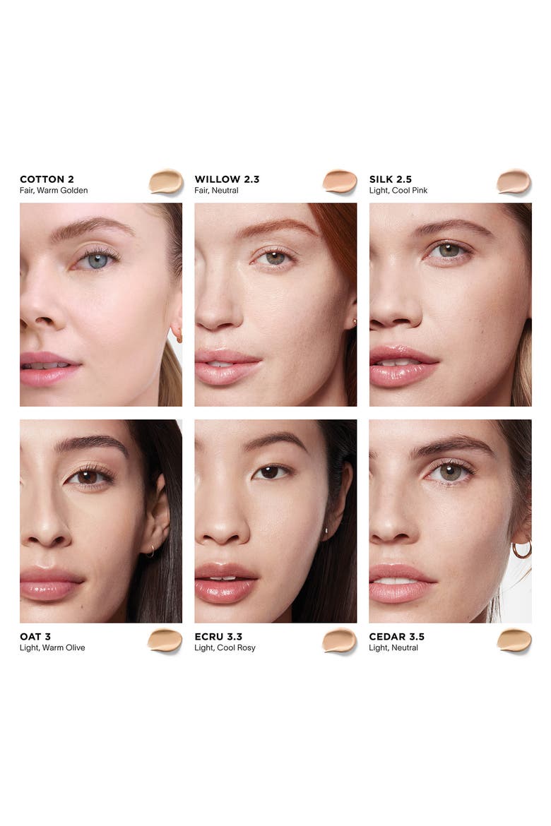 Vanish Airbrush Concealer, Alternate, color, SILK 2.5