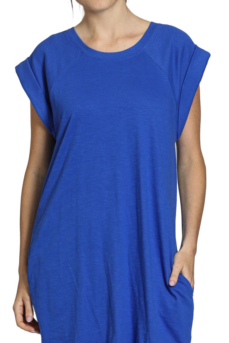 Raglan Cap Sleeve Cotton Shift Dress, Alternate, color, DAZZLING BLUE