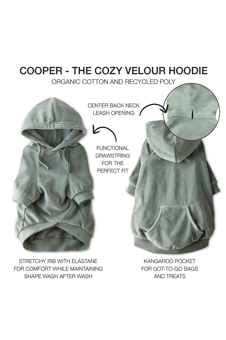 Cooper II Velour Pet Hoodie, Alternate, color, SAGE