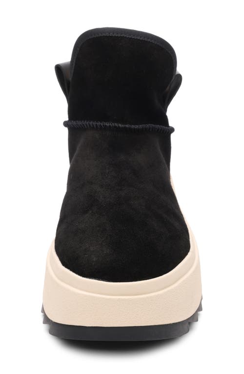 Ash Round-head Short Boots In Black