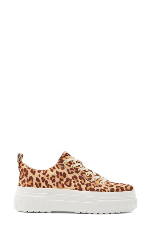 Jslides West Platform Sneaker In Brown