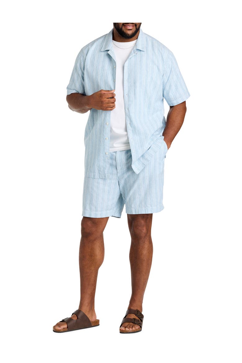 Big & Tall Striped Cabana Camp Shirt, Alternate, color, BLUE MULTI