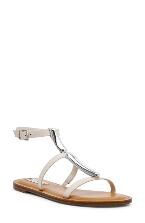 Steve Madden Alma Gladiator Sandal In Bone Leather