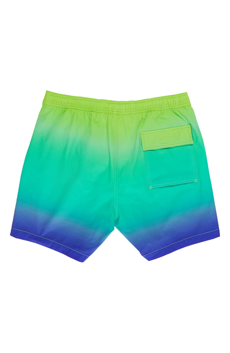 Psycho Bunny Rickman Swim Trunks, Alternate, color,