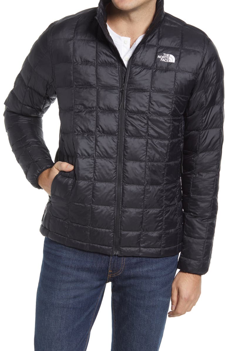 The North Face Thermoball<sup>™</sup> Eco Packable Jacket, Alternate, color, 