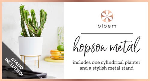 Bloem Hopson 10 Inches Casper White Planter W/ Metal Gold Stand In White