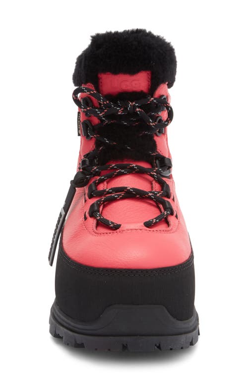 Ugg ® Shasta Gore-tex® Waterproof Boot In Pink