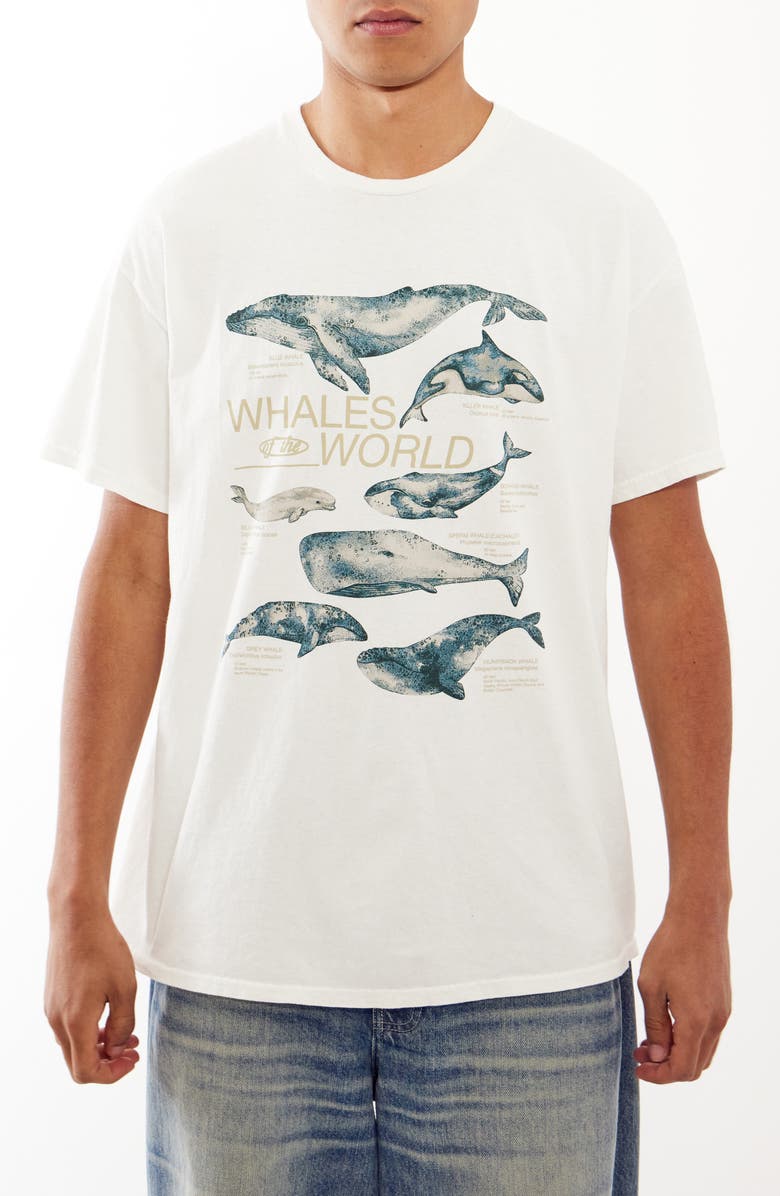 BDG Urban Outfitters Whales of the World Graphic T-Shirt, Main, color, 