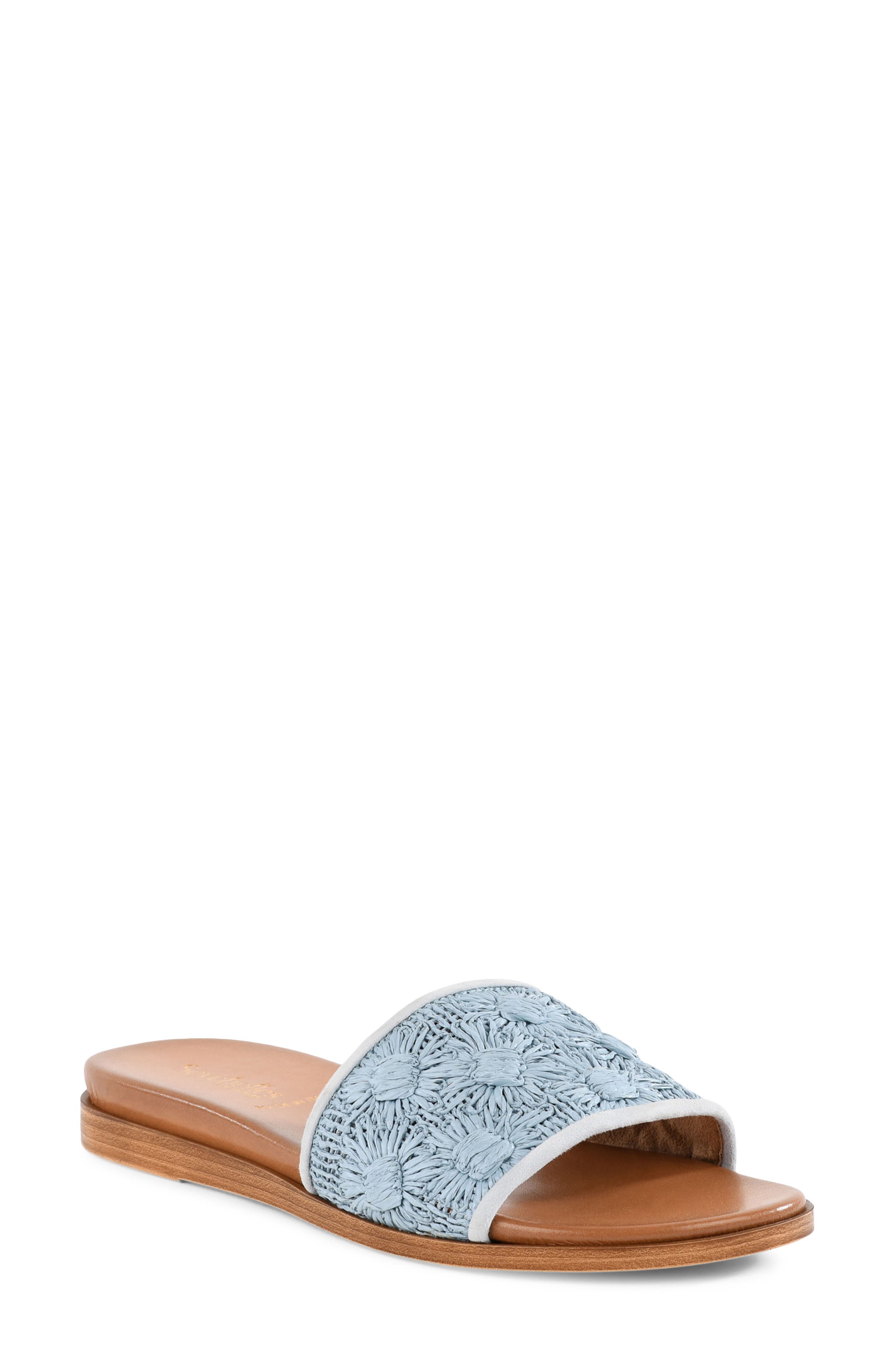 Dakota Slide Sandal, Main, color, BLUE