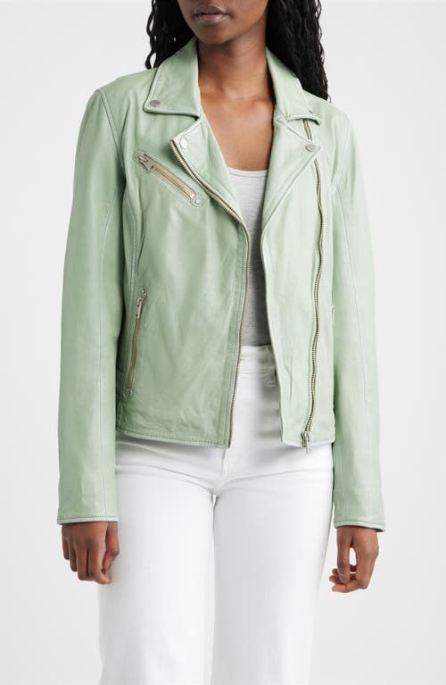 Mauritius Sofia Lambskin Moto Jacket In Green