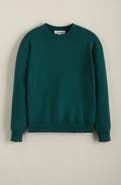 Nordstrom Relaxed Fit Crewneck Cotton Blend Sweater