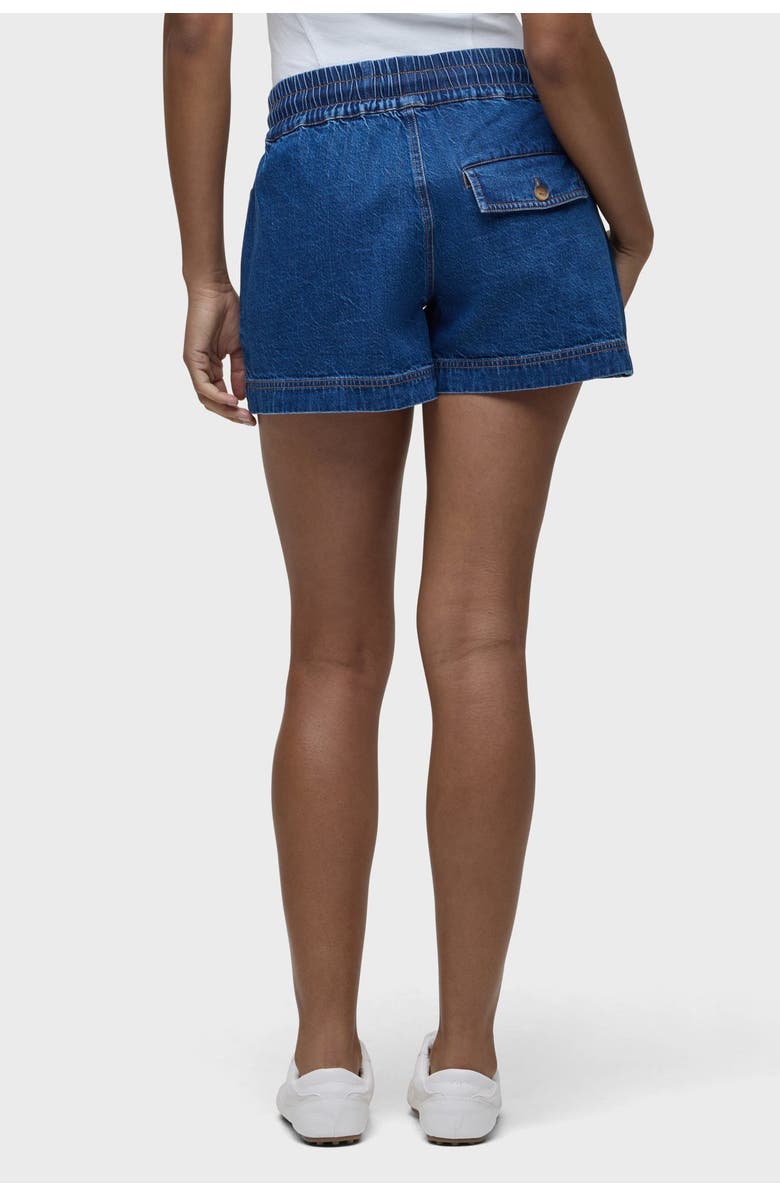 Hudson Jeans Drawstring Short, Alternate, color, Lottery