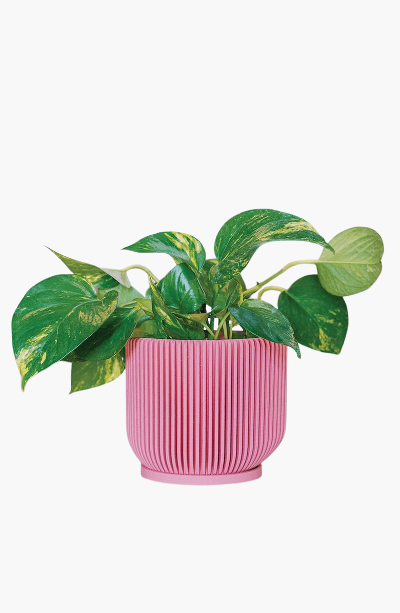 Woodland Pulse IONIC Modern Ribbed Planter Planter, Plant Pots, Flower Pots, Alternate, color, 