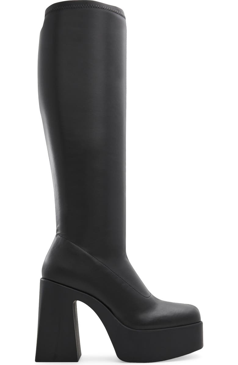 ALDO Moulin Knee High Boot, Alternate, color,