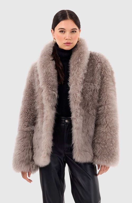 Gorski Cashmere Goat Jacket In Purple