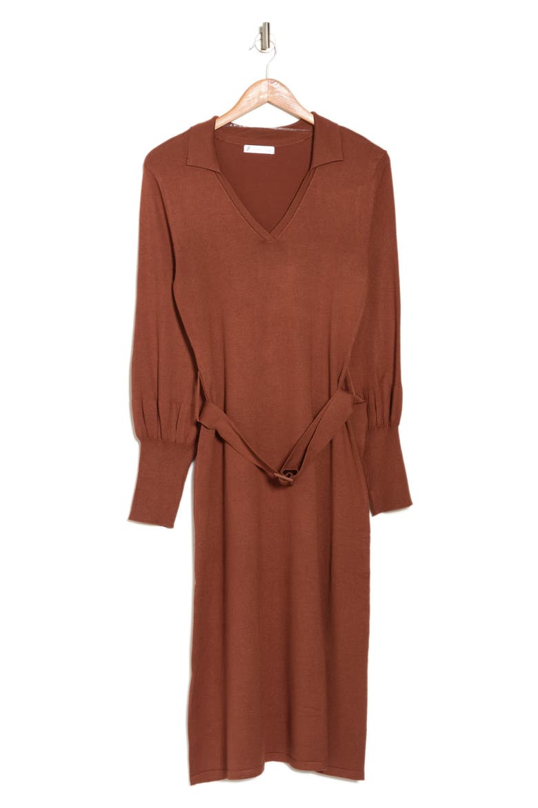 Collared Long Sleeve Sweater Dress, Alternate, color, SABLE BROWN
