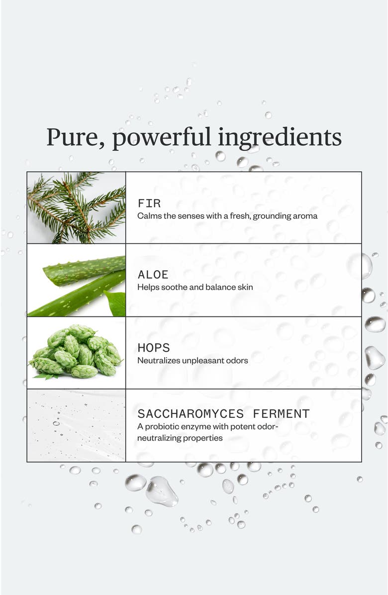 Ursa Major Forest Fix Spray Deodorant, Alternate, color, Dark Green