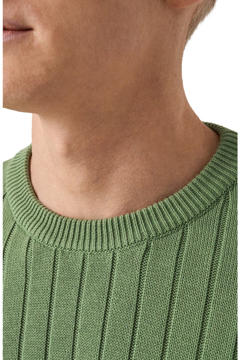 Rib Knit Cotton Crewneck Sweater, Alternate, color, LIGHT GREEN
