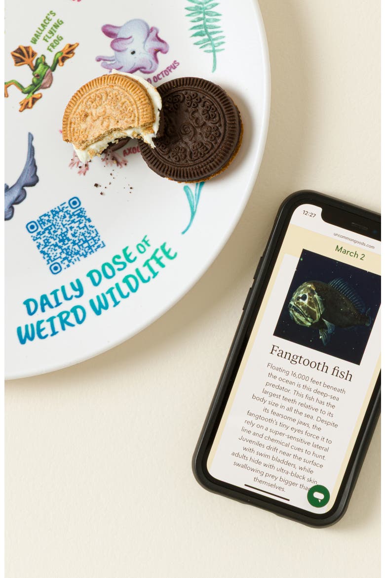 Weird Animal Fact Everyday QR Kids Plate, Alternate, color, Multi