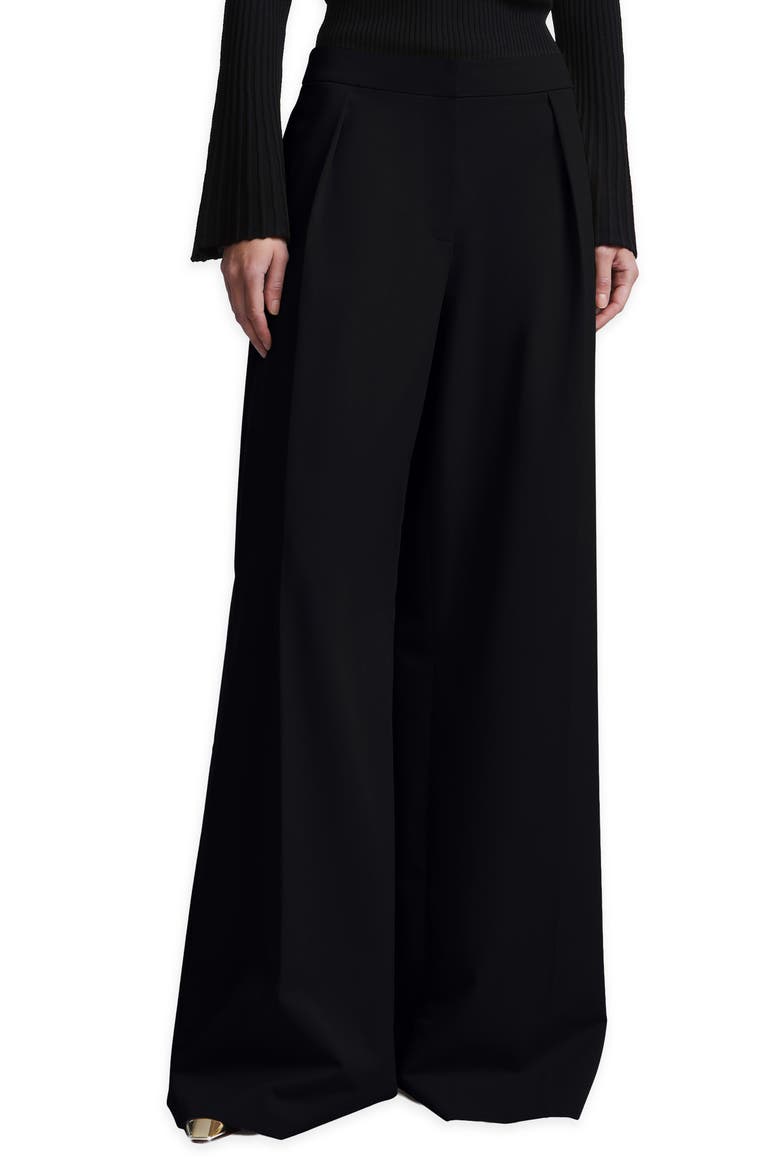 Tina Wide Leg Pleated Pants, Main, color, BLACK