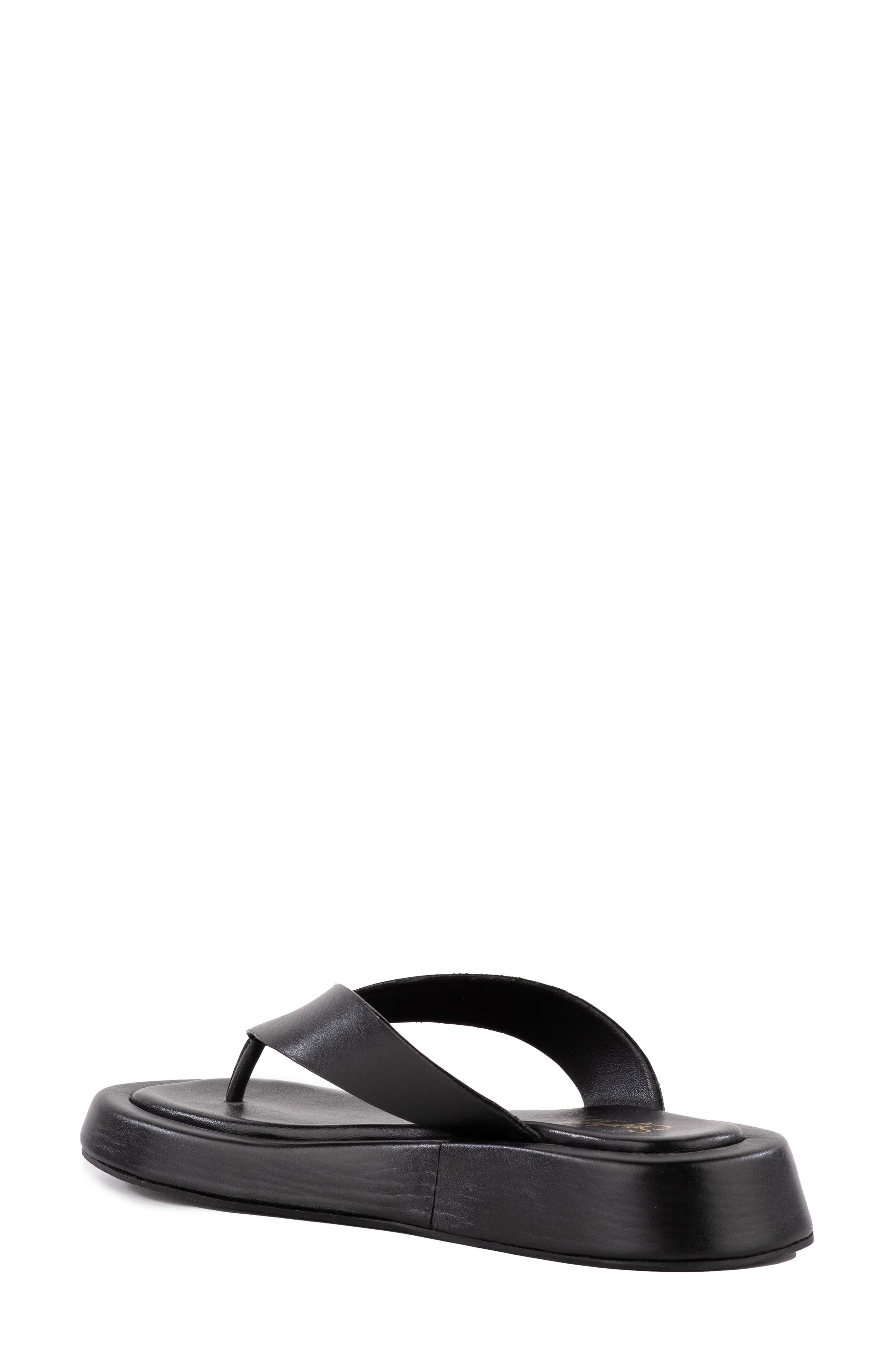 Seychelles Nautical Flip Flop Sandal, Alternate, color, Black