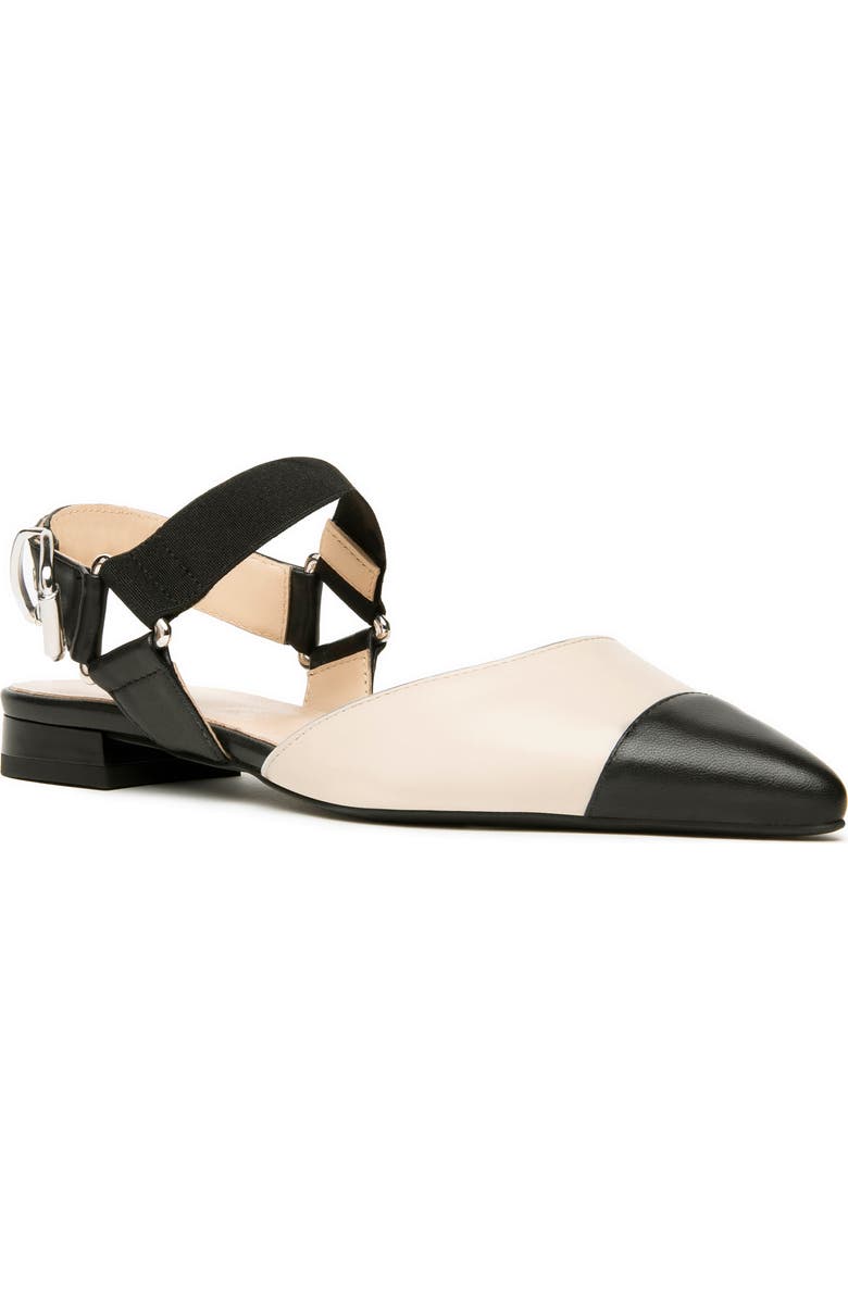 NeroGiardini Pointed Toe Flat, Main, color, Black/ Beige