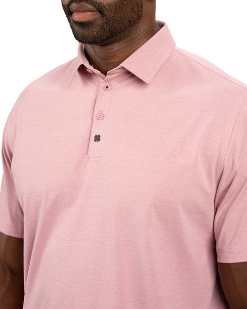 Black Clover Holden Polo In Pink