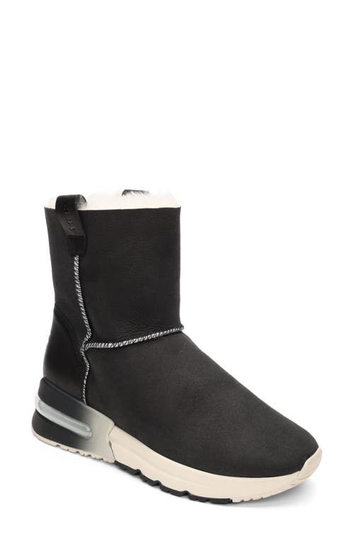 Ash Kyoto Faux Shearling Bootie In Black/black