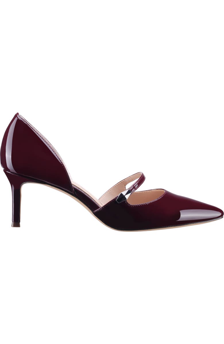 Nina Nashly Pointed Toe Mary Jane Pump, Alternate, color, Bordeaux