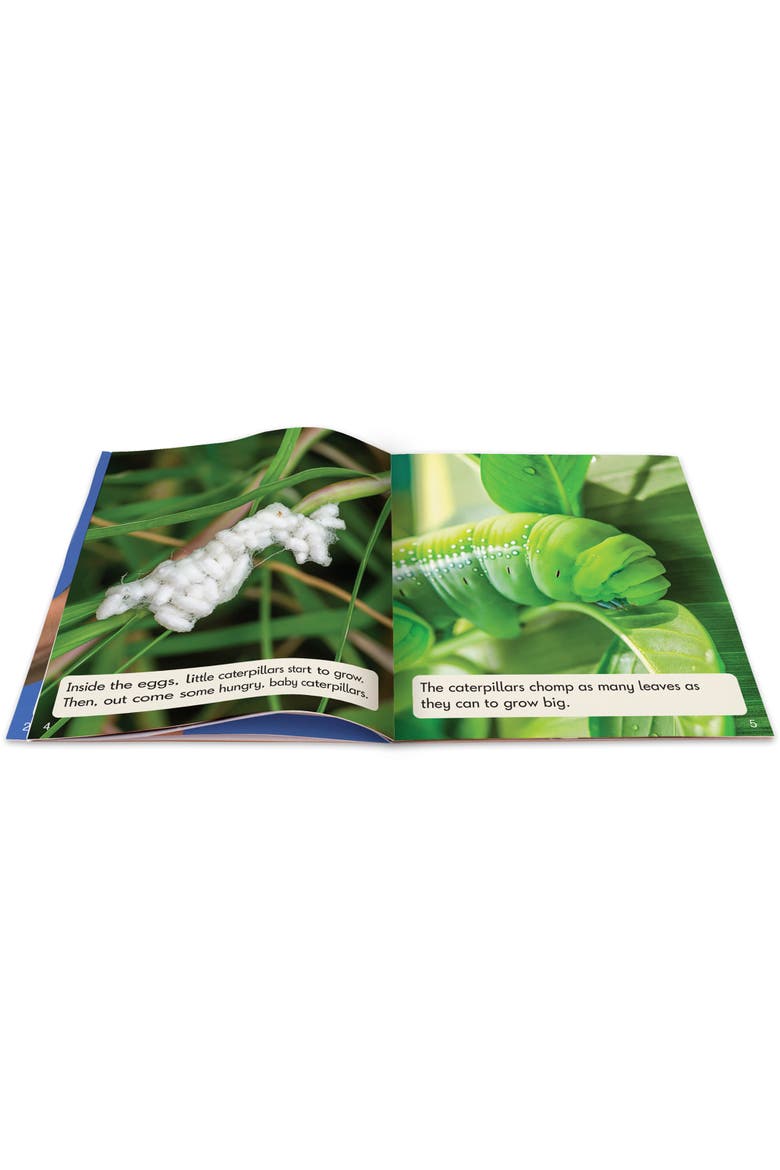 Phase 6 Nonfiction Educational Learning Set, Alternate, color, Multicolored