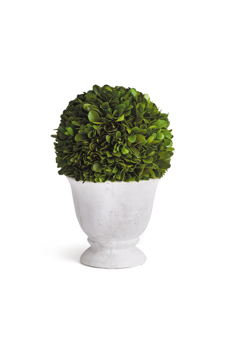 Boxwood Ball Topiary In Pot, Main, color, Green