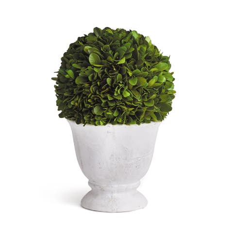 Boxwood Ball Topiary In Pot