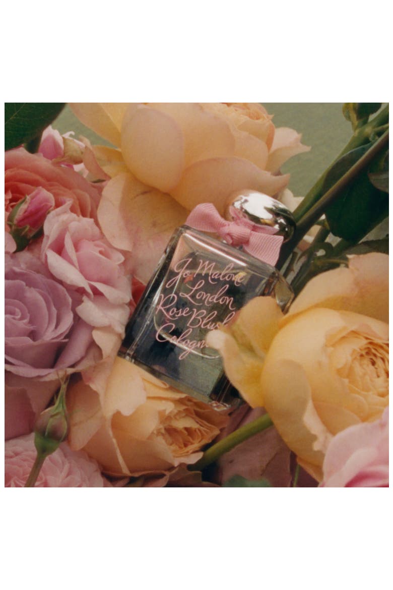 Rose Blush Cologne (Limited Edition), Alternate, color, NO COLOR