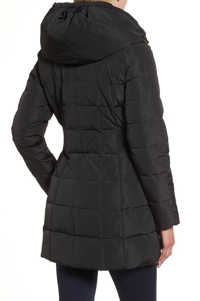 Hooded Down & Feather Jacket, Alternate, color, BLACK