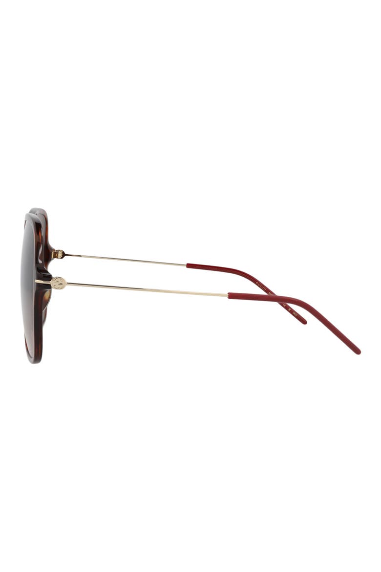 60mm Oversize Sunglasses, Alternate, color, HAVANA GOLD BROWN