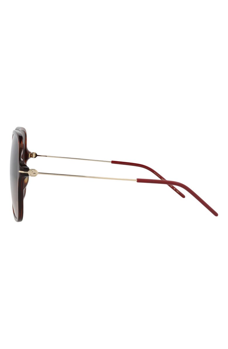 Gucci 60mm Oversize Sunglasses, Alternate, color, Havana Gold Brown