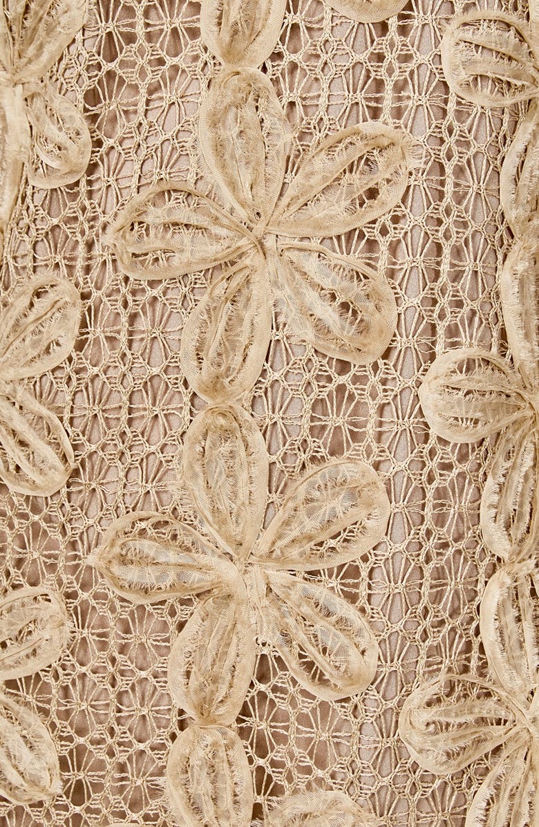 Endless Rose Lacy Sleeveless Dress, Alternate, color, Taupe