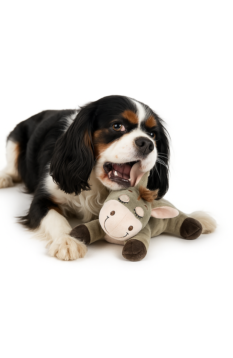 Nandog Pet Gear My BFF Plush Dog Toy, Alternate, color, Chewy The Donkey