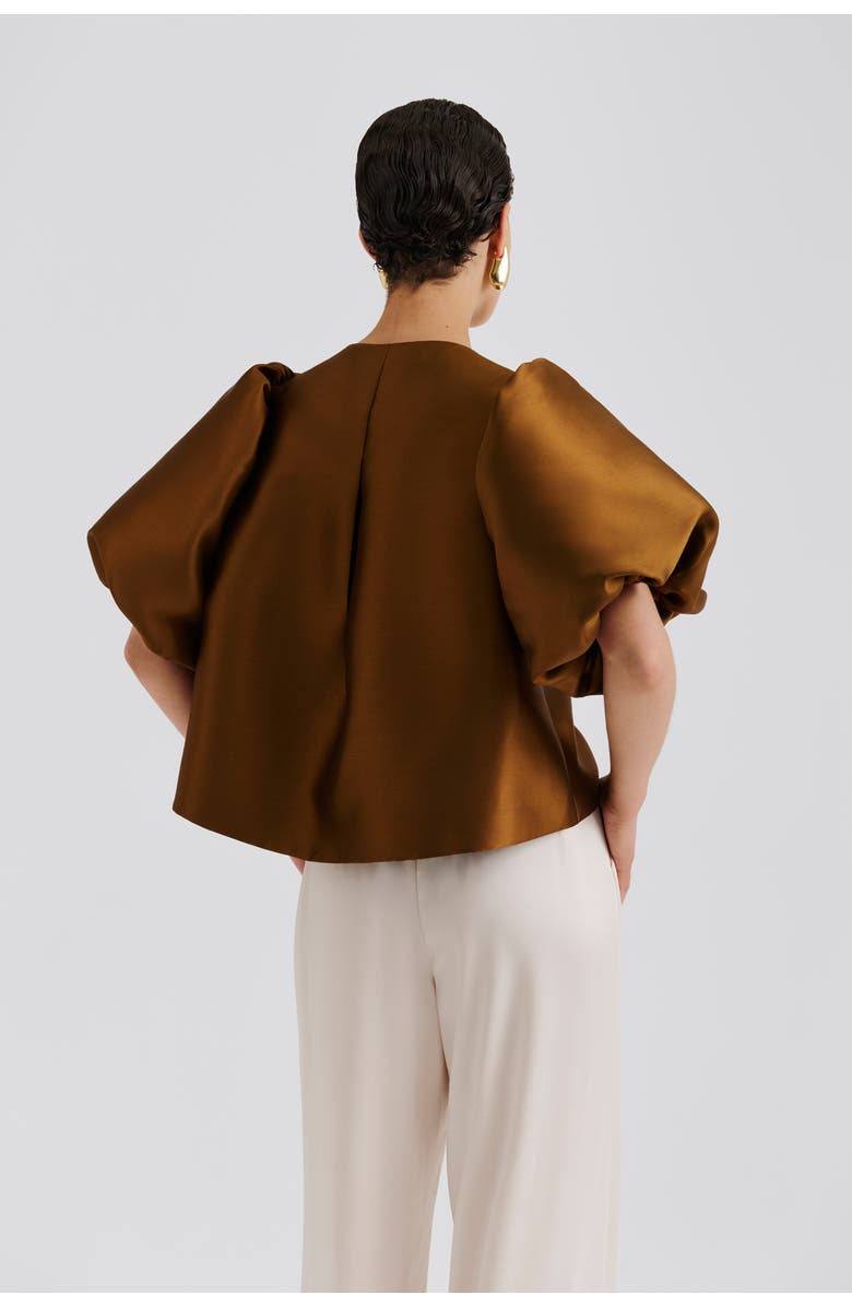 Malina Cleo Pouf Balloon Sleeve Blouse, Alternate, color, Amber