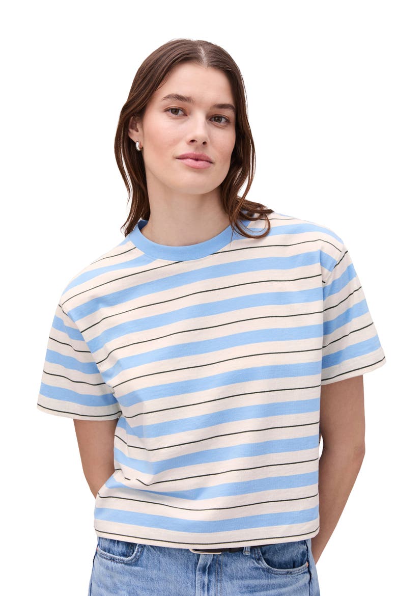 The Recycled Stripe Crop Tee, Main, color, Chambray Stripe
