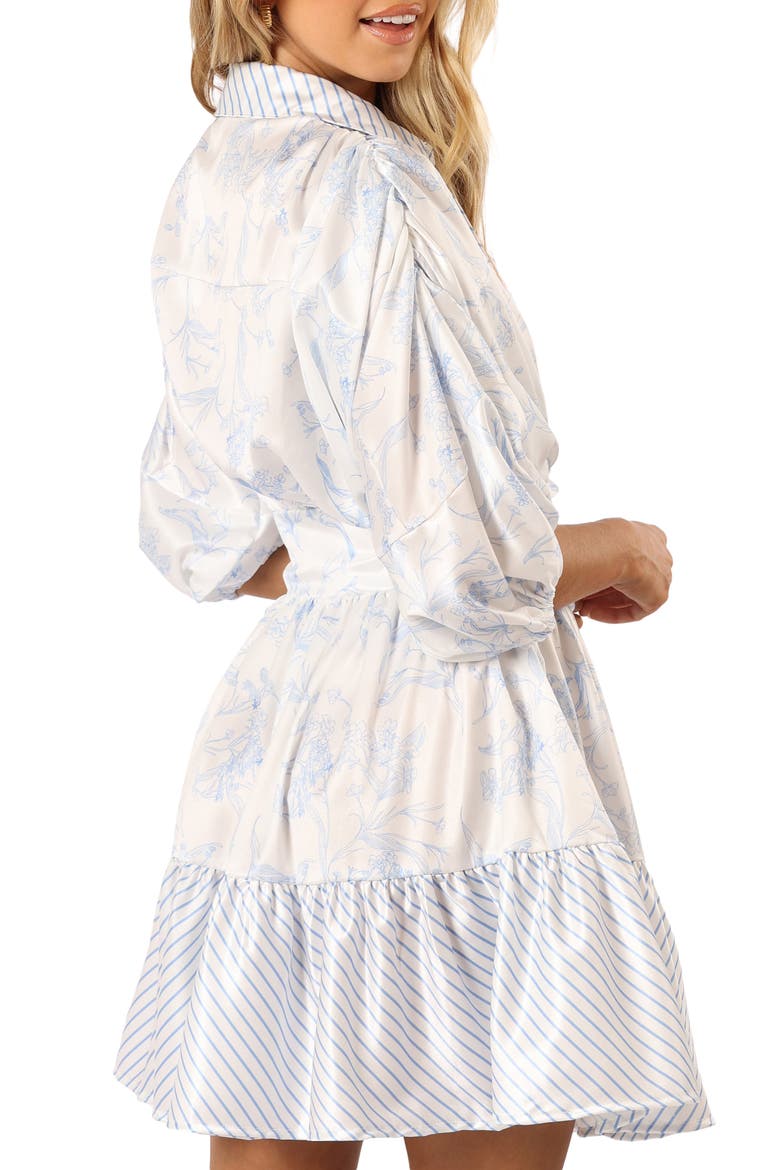 Leigha Floral & Stripe Shirtdress, Alternate, color, BLUE