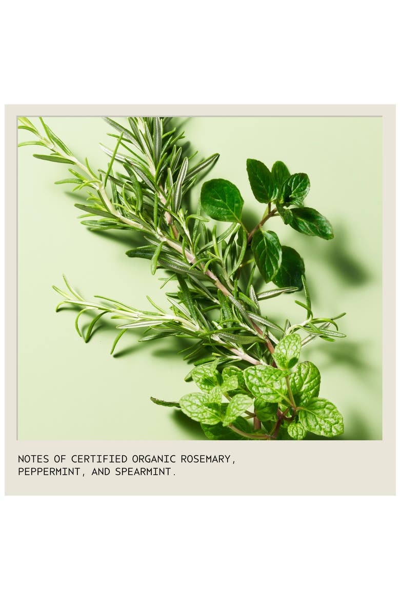 Rosemary Mint Weightless Conditioner, Alternate, color, NO COLOR