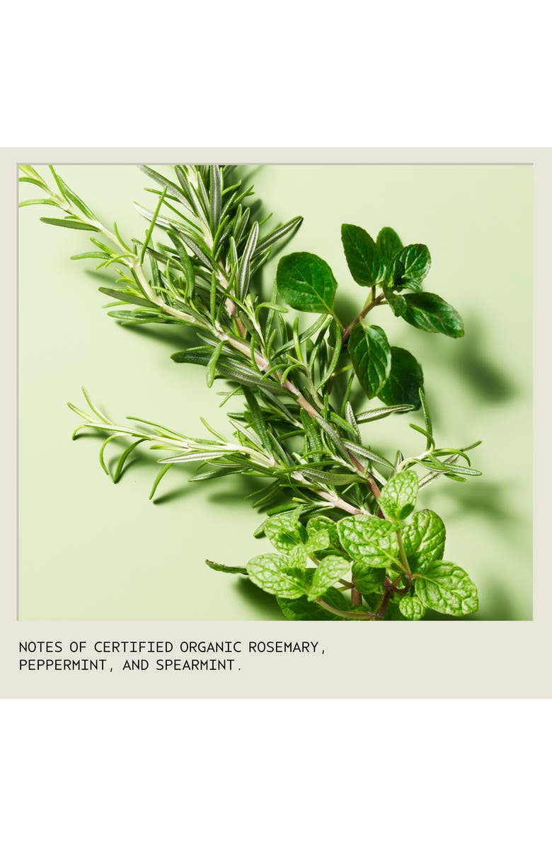 Aveda Rosemary Mint Purifying Shampoo, Alternate, color, 