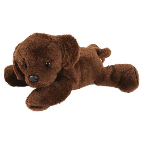 Kaplan Early Learning Company Animal Friends Learning Kit In Multi