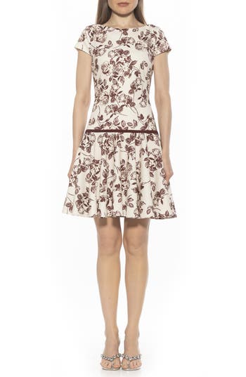 Alexia Admor Drop Waist Dress In Burgundy Floral
